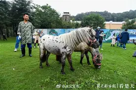 华中最大野生动物园开建 年底前有望去看这里的野生动物图片