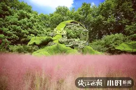 一到节假日，杭州南山路、龙井村、九溪是不是很堵很堵？10月1日起，景区放大招了图片