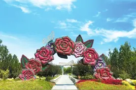 十一假期郑州最有看点的游园攻略“家门口”也能逛热带雨林图片