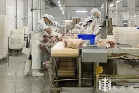 「走进我们的幸福小康」有技学有活干有钱赚 哈尔滨市巴彦县幸福“流水线”转起来图片