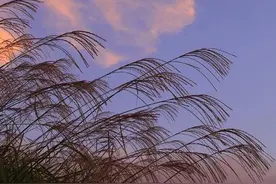 今晚，被这几句话甜到了图片