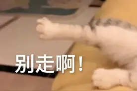 破解城市“堵局”，南京交警在行动！图片