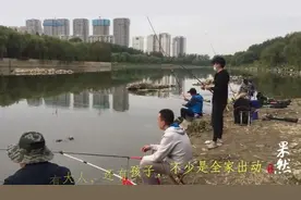 果然视频｜一公里聚了上百人，济南小清河成市民钓鱼打卡地