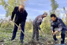 脱贫路上显“参”手图片