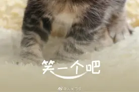 像它们一样，对世界笑一个吧图片