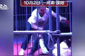 惊险一幕！濮阳一马戏团黑熊失控，突然攻击驯兽师图片