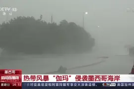 热带风暴“伽玛”侵袭墨西哥海岸图片