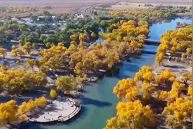 瞰见｜阿拉善胡杨林正进入观赏期