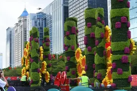深圳2万㎡花境、1.1万㎡花海正在盛放，马鞭草盛花期将至图片