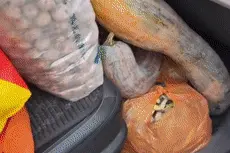 “妈妈装的后备箱”上线啦！顺便提醒，明起开始返程高峰图片
