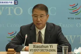 世贸组织：中国在进出口领域都为全球贸易作出积极贡献图片