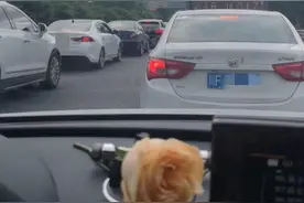 国庆大假返程高峰来了！成都周边这些高速车流量大，如何绕行看这里图片