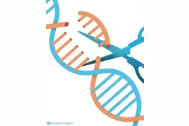 CRISPR基因剪刀得诺奖，这项“改写生命密码”的技术能干啥图片