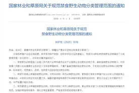 国家林草局：引导养殖户年底前停止养殖竹鼠等45种野生动物图片