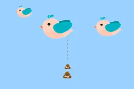 鸟类的消化系统与结构图片