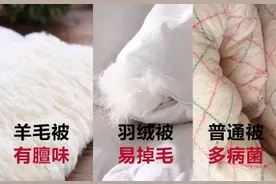 重要通知：蚕丝被被曝光了！长期盖蚕丝被发生了这些变化...没看的赶紧看看吧图片