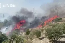 土耳其最大工业中心发生森林大火 火势蔓延至居民区烧毁2栋楼图片