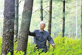 感悟永不过时的“杨善洲”图片