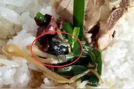 外卖吃出苍蝇 男子索赔2000元！餐馆：让卫生局来图片