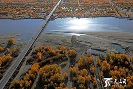 金秋，沿着塔河赏胡杨 走起图片