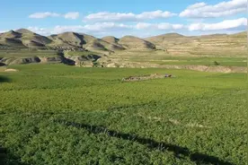 瞰见 | 中国马铃薯之乡视频封面