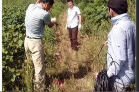 什么是人工地震？图片