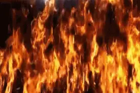 2个华人劳工被逐回国后，东北死了6万人！图片