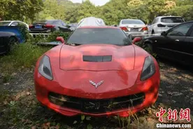 杭州“豪车坟场”价值百万豪车扣押数年成“僵尸车”图片