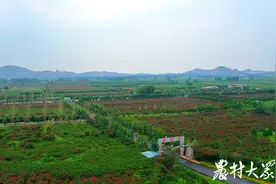 引来花海、增绿添金！看这个纯农业乡镇如何华丽变身图片