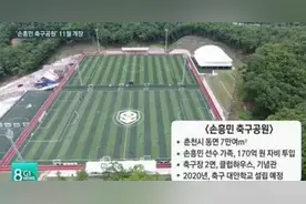 买房不如建球场！孙兴慜斥资亿元造运动公园，父亲的话改变他图片