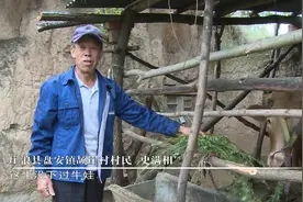 养牛户的“致富梦”图片