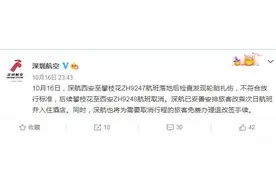 西安至攀枝花航班落地发现轮胎扎伤 后续航班取消图片