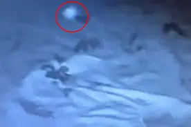 灵异：凌晨查看视频监控惊见白色光球绕婴儿床 新手爸妈吓怕把女儿抱离房间图片