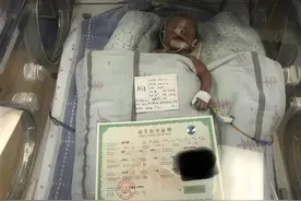 丹江口市女子二胎生下3个儿子，早产三胞胎的医疗费愁煞这家人图片