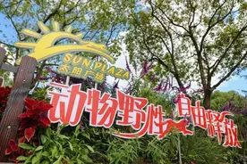 上海野生动物园员工遭熊攻击致死，回应：猛兽区关闭，对逝者表示哀悼图片
