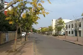 大批家园正在量产，我的东营也永远回不去了图片