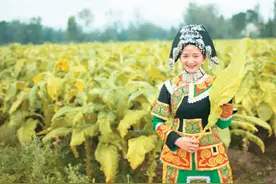 五彩会理秋韵浓图片