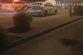 迷之操作！女司机半夜“盲驾”，还边开边打电话？交警盯上她了图片