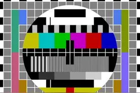 这个花花绿绿的圆盘子，藏着你不知道的秘密图片