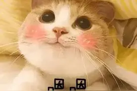 医保关系如何转出？办理指南请收好→图片