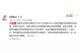 深航：西安至攀枝花航班落地时发生不安全事件，造成机腹和轮胎擦伤受损图片
