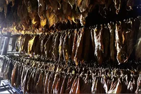 长城故事会 ▏探渊索珠⑤：精心淬炼发酵，只为最好的你图片