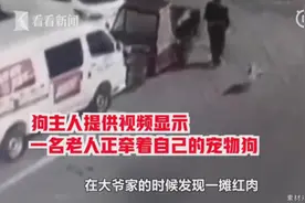 山东男子丢宠物狗，验芯片发现在别人餐桌上，捡狗老人：这是鸡腿图片