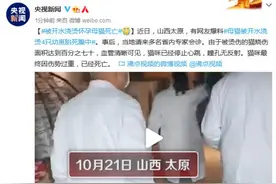 山西太原被开水浇烫怀孕母猫因伤势过重，已经死亡图片