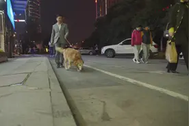 9年军龄立功无数的搜救犬“图图”退役了，如今它爱打呼噜、爱撒娇卖萌图片