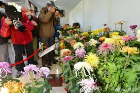 北京菊花展北海公园开幕图片