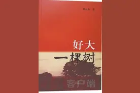 国之相交与民之相亲——读《好大一棵树》图片