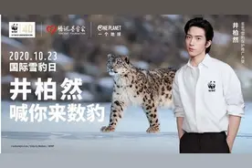 世界雪豹日，腾讯推“神秘雪豹在哪里”小程序，用AI助力雪豹保护图片