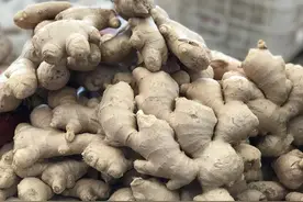 “姜你军”重出江湖，生姜价格每斤突破10元图片