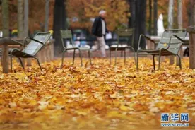 巴黎秋天「图」图片